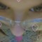 marie062215
