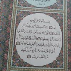 Hanan Alsayed