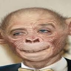 passiveaggressivebarista