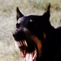 sleehpin