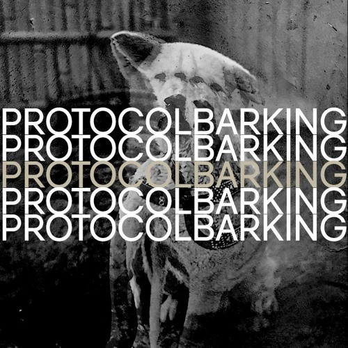 Protocol Barking’s avatar