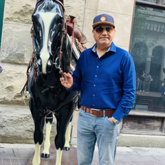Malik Saif Ul Malook