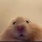 He