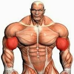 Anabolic Mfer