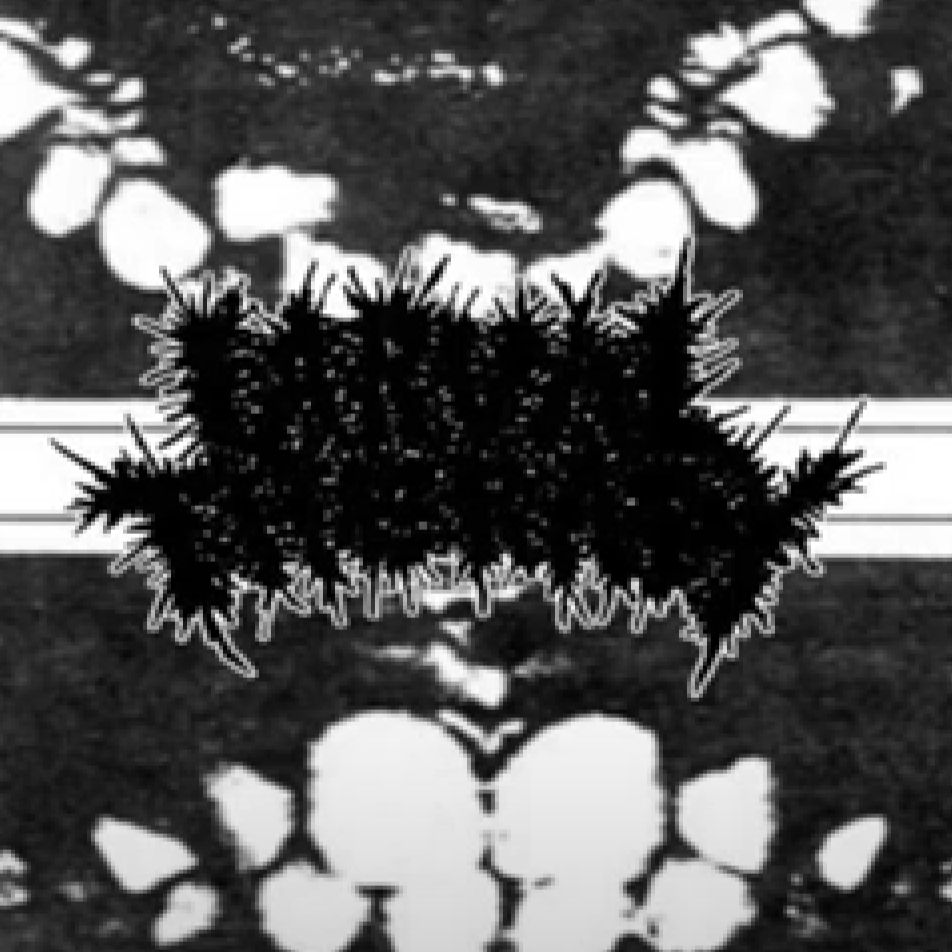 LARVAL THERAPY