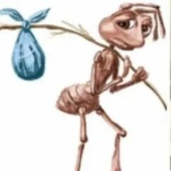 ant