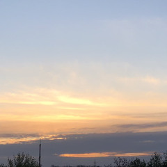 bymurovei