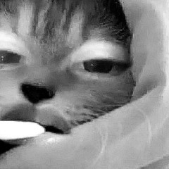 ︎ ︎︎︎︎︎