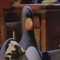 Feathers McGraw
