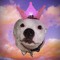 User 1629153