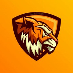 MCTiger