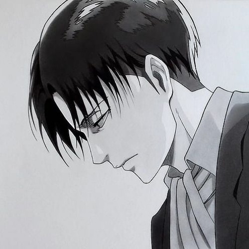 The Levi Ackerman’s avatar