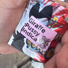 jdotty2tac