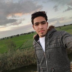 User 478806474