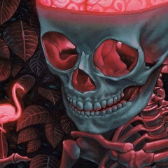 ☔️The Evolution☔️