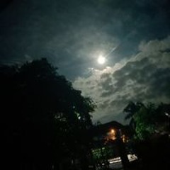 Nguyễn Bá Hoàng Phúc