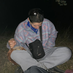 hanalogik