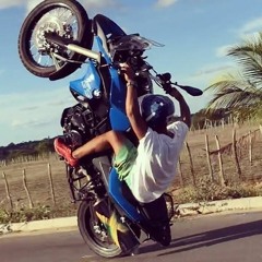 WILL 013