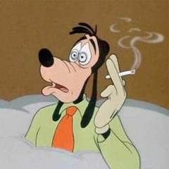 •●•●•●•●•●•●•