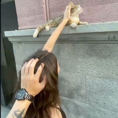 violaxmeow