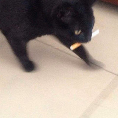 ℑ𝔰𝔞