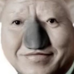 보zㅣ보zㅣ 무현