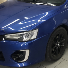 Bolgarchik_predators