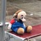 Mario Plush