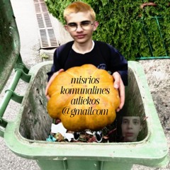 Mišrios komunalinės atliekos