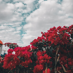 مـوفـق