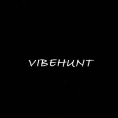 VibeHunt Records
