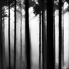 𝒥ℴ𝓇𝒹𝒶𝓃