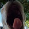 Aleks