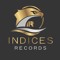 INDICES RECORDS