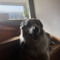 user020807