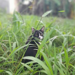 Errey._7722.