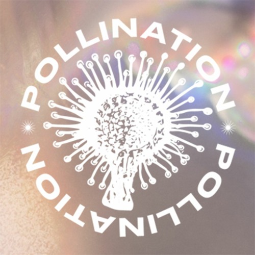 Pollination’s avatar