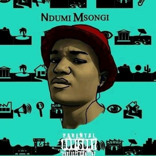 Ndumi Msongi’s avatar