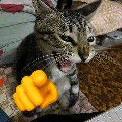 бро
