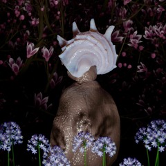 vmdmv