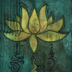 🌼 ☮︎︎ grenouille