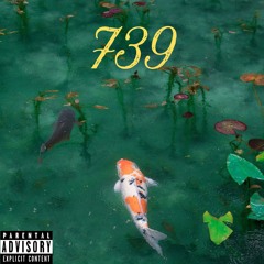 739house