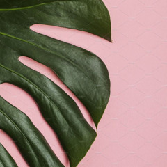 Angel Bairan Soliman