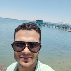 محمد عبد الحليم