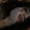 shosho_aa
