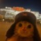 TEMPOCAT