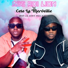 ABS Roi Lion "Pr des Melos"