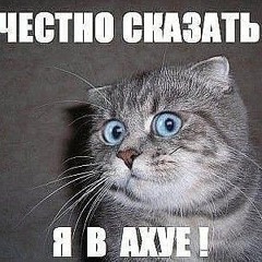 Uvarovmikhail17