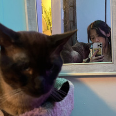 ✧ KikoKiko ✧