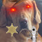 sheriff tedd